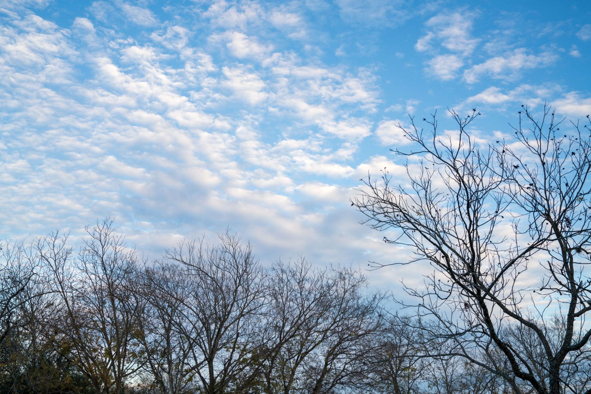 Autumn Cloudy Blue Sky