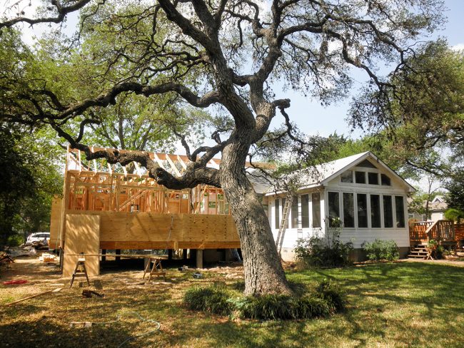 master-addition-tree-copy